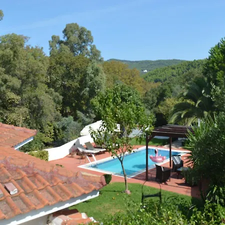 Platanias * 圣帕拉斯凯维